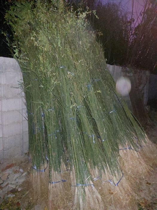 Терак бор. Terak sotiladi