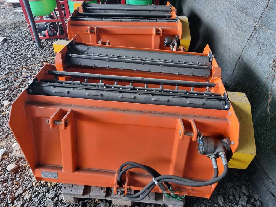 Sararita pentru nisip, sare