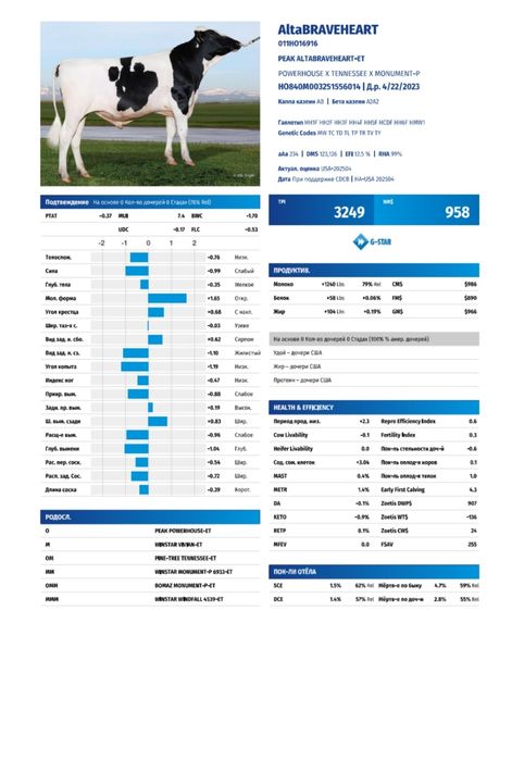 Семя быка из Америки Алта Генетик Suniy urug‘lar