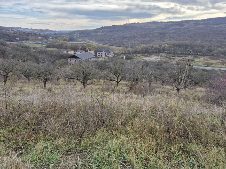 teren INTRAVILAN  9 880 mp, front 63m BACIU, pt 16 case