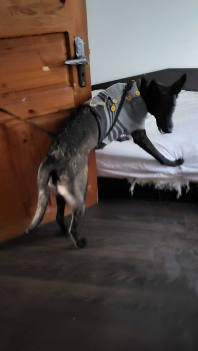 Ръчно плетива, много качествени