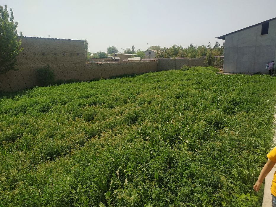 Участка сотилади Янгийул тумани,11 сотих