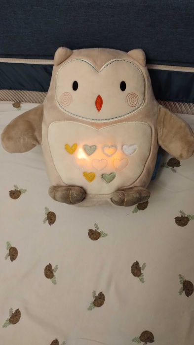 Бухалчето Оли-компания за сън