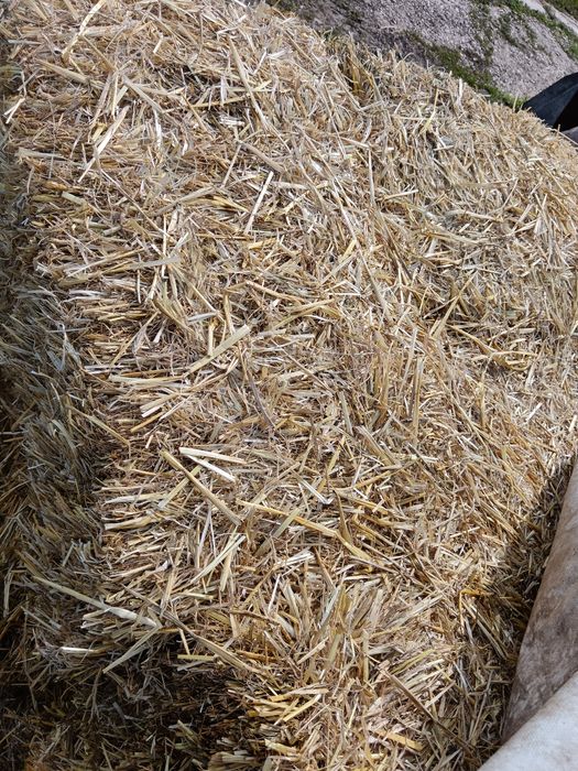 Când baloți de paie perfecți pentru decor