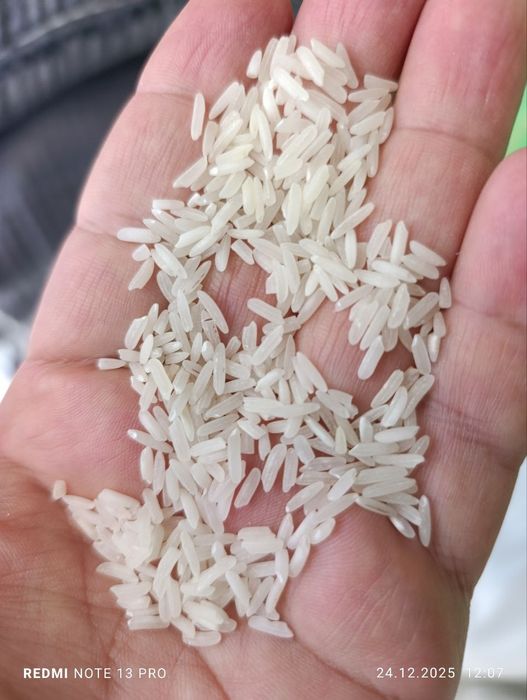 Lazer guruch sotiladi