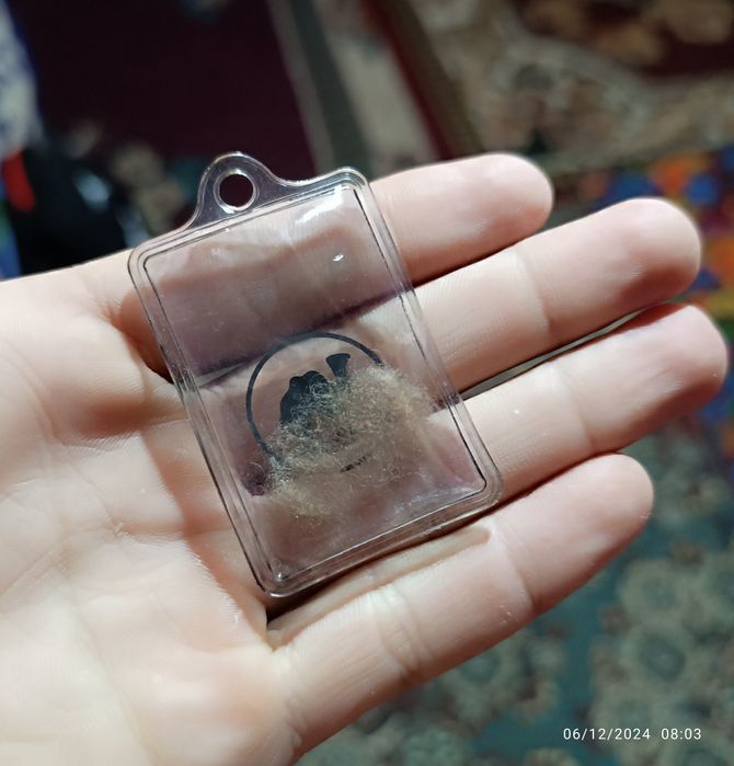 Tuyani juni || camel hair || верблюжья шерсть