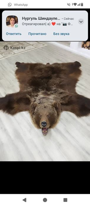 Ковёр с медвежьей шкуры