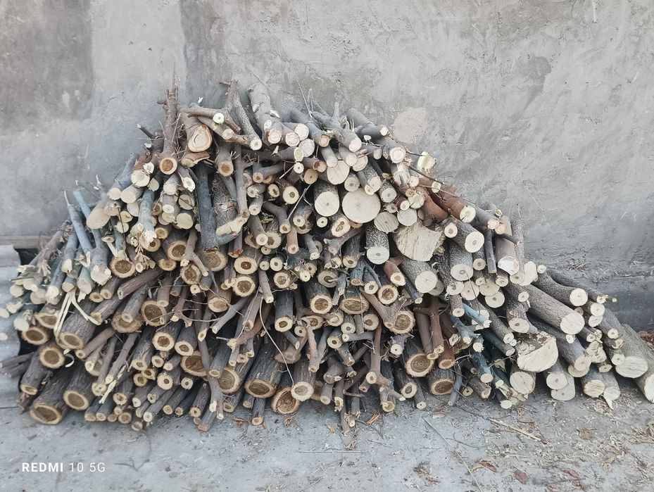 Отин тут дарахдан