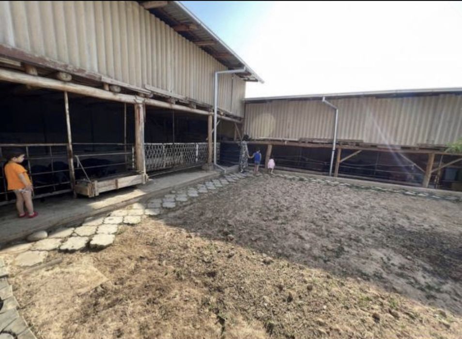 Дендропарк дархон дом участок земля каттедж