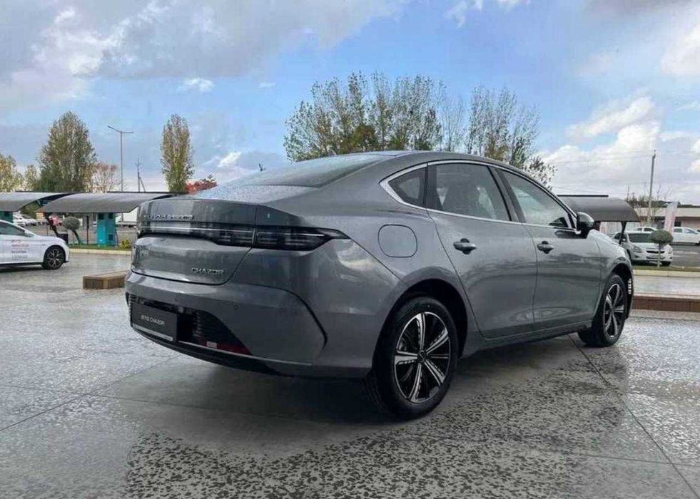 BYD chazor rassrochka bor