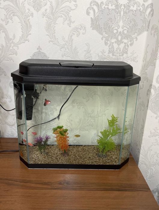 Аквариум с рыбками