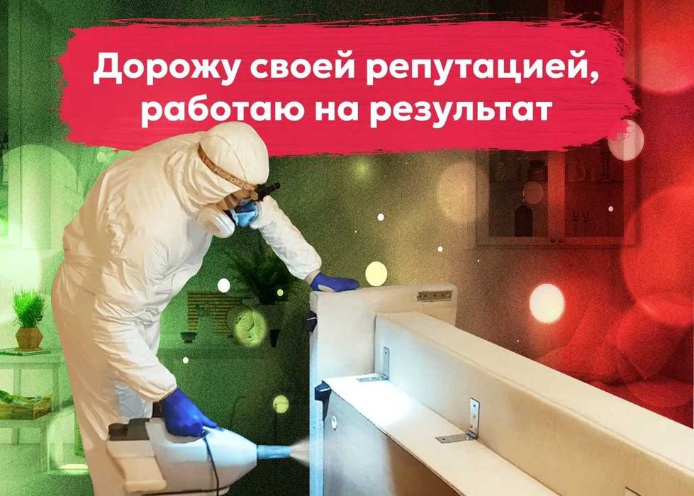 Дезинфекция Dezinfeksiya от клопов, блох, клещей, змей, крыс, мышей