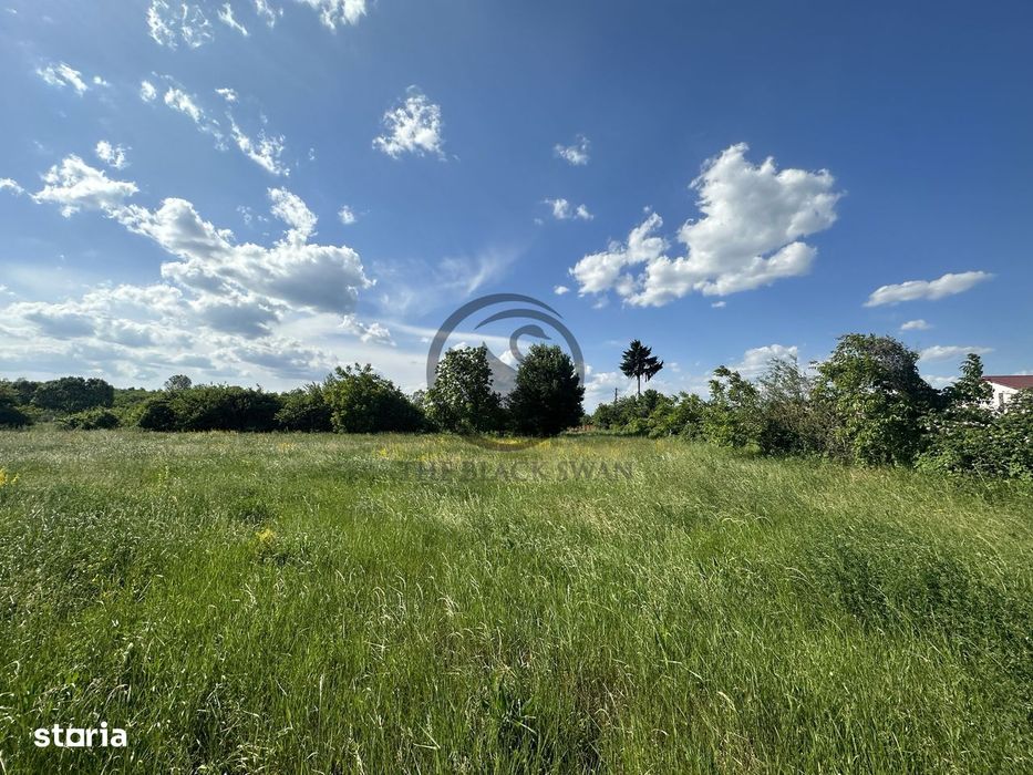 Teren intravilan de vanzare | 11.000 mp | Ghirdoveni | Comision 0%