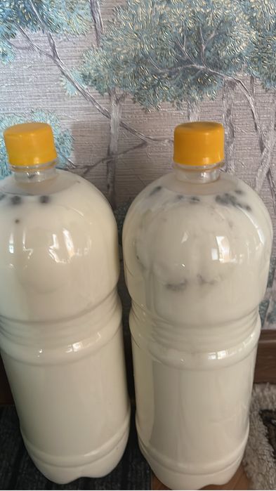 Қымыз Жаңаарқа свежий