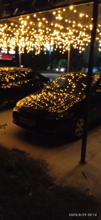 Авто лизинг жентира