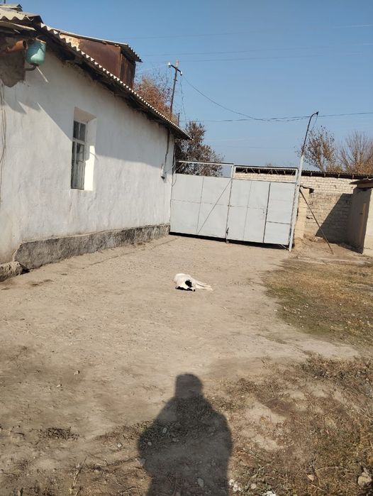 Kadastr va boshqa hujatlari bor