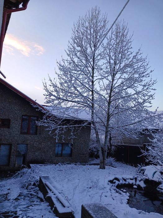 Casa si teren de vanzare