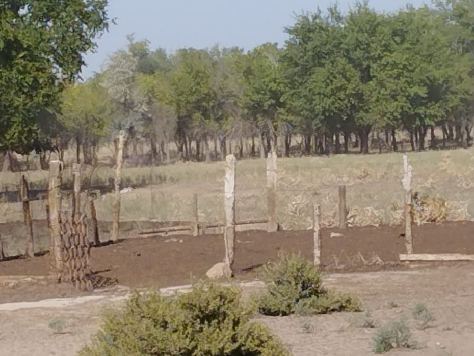 Продается Фазенда