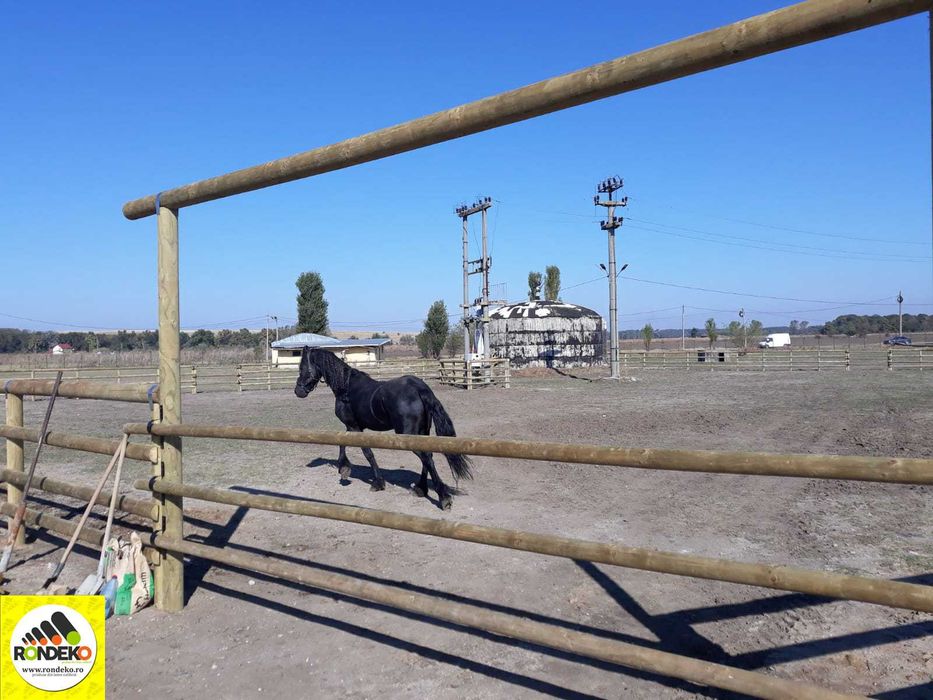 Lemn rotund pentru Manejuri si Grajduri calarit