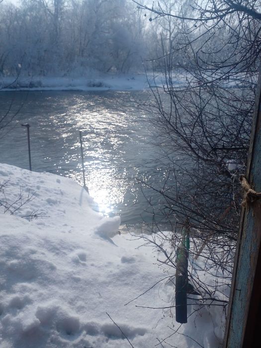 Дача на берегу Иртыша с выходом к воде!