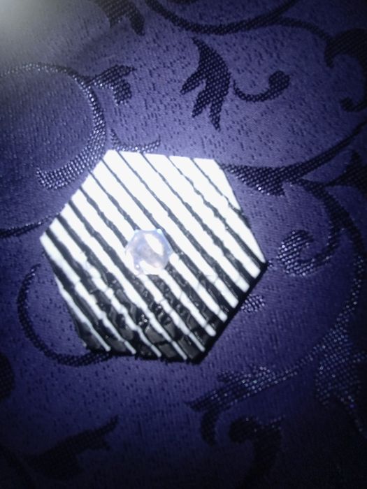 Лабкойн монохром 2.5звезди 2025