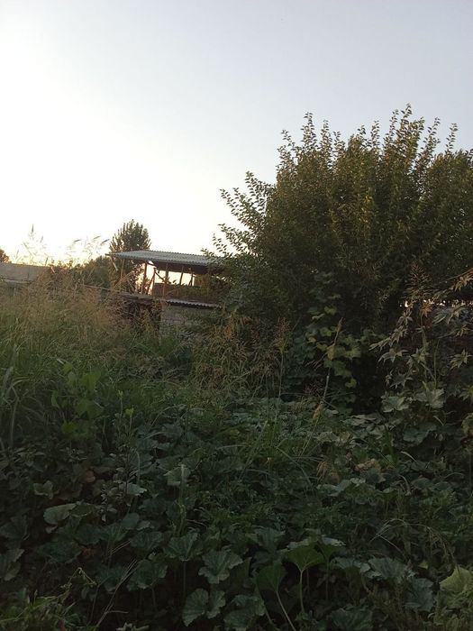 Uchastka hovli sotiladi