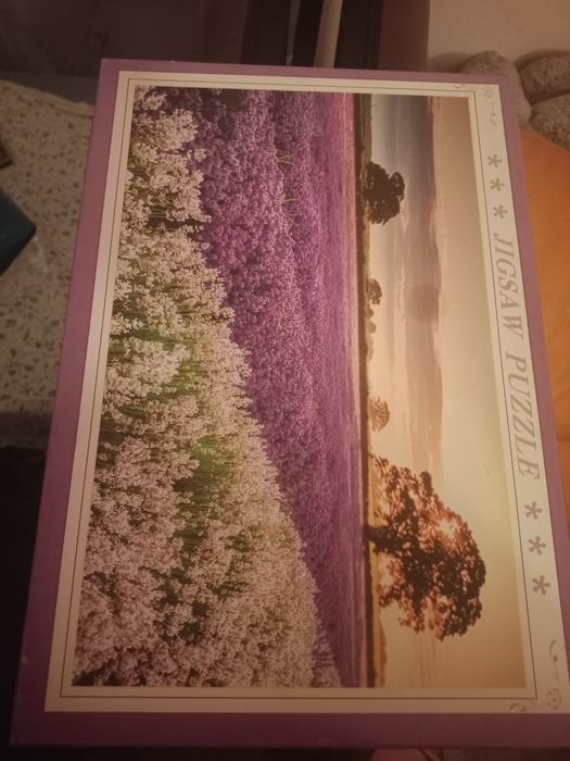 Пазл 1000 деталей