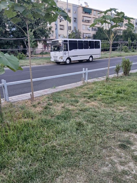 Buyurtma avtobus gazel