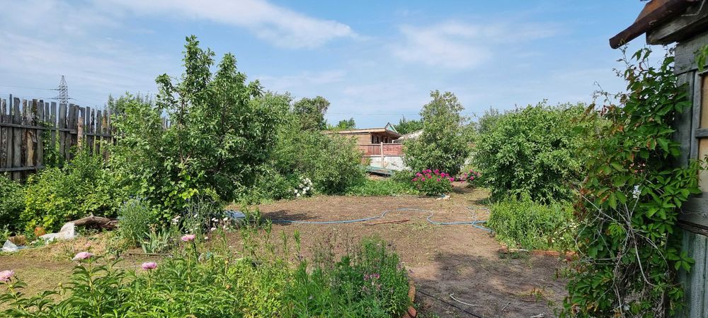 Продам дачу в СО "Текстильщик-1"