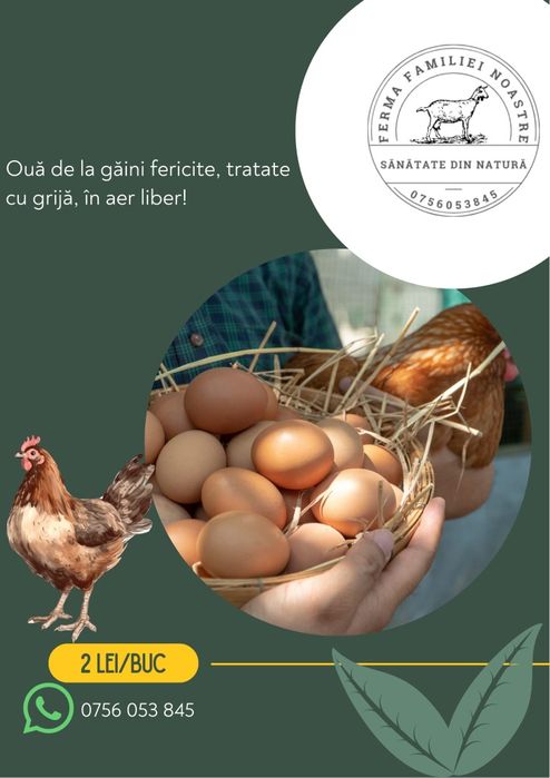 Vindem lapte de capră