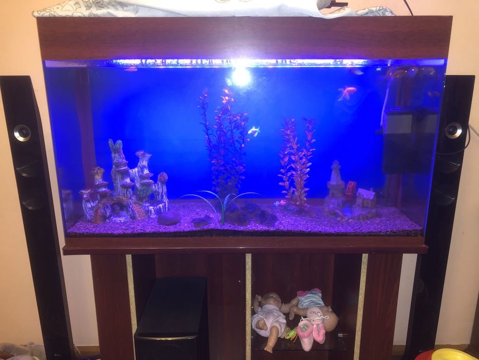 Akvariym sotiladi 300 litrlik 05 oynalik