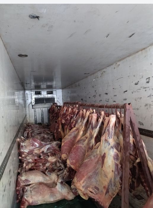 Қасапшы, Резчик!