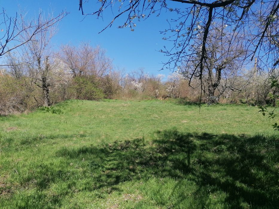 Парцел 1000кв. м. с. Николаево, обл. Плевен