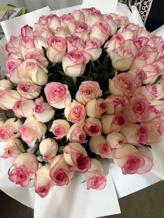 Свежие цветы розы