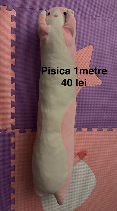 Depozitul din lemn si pisica roz