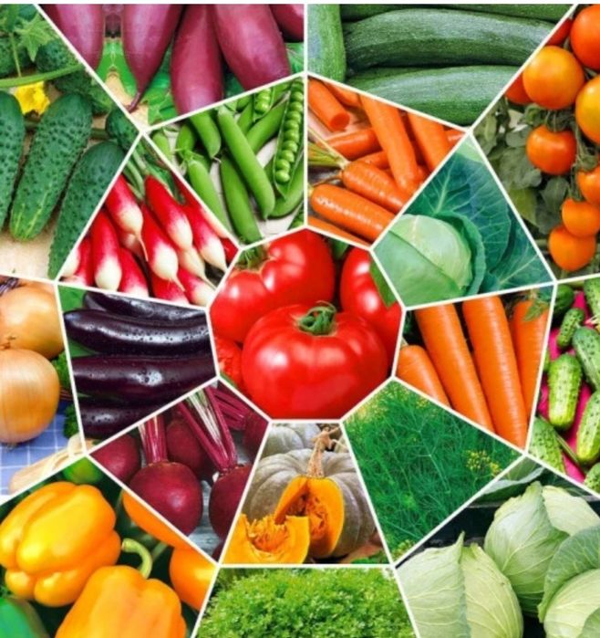 Семена в ассортименте по доступной цене.