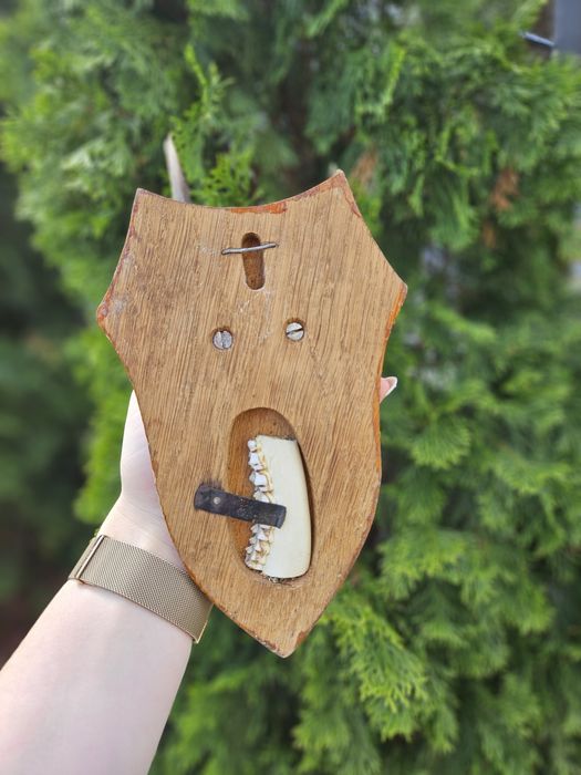 Трофей от муфлон