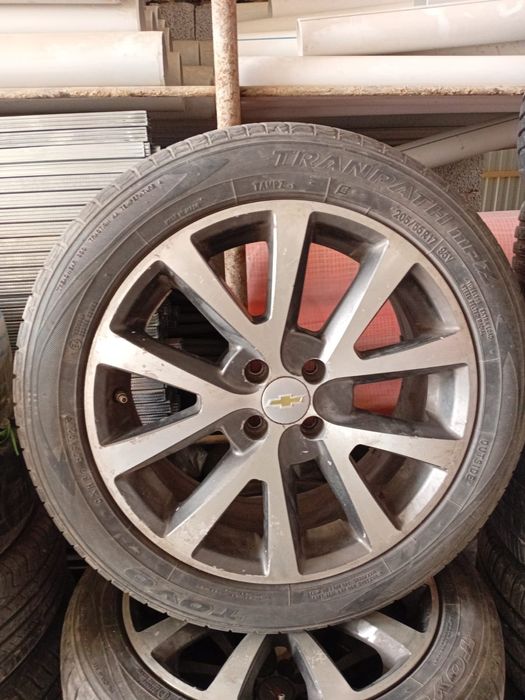 Шымкент  тұр алып  беремін