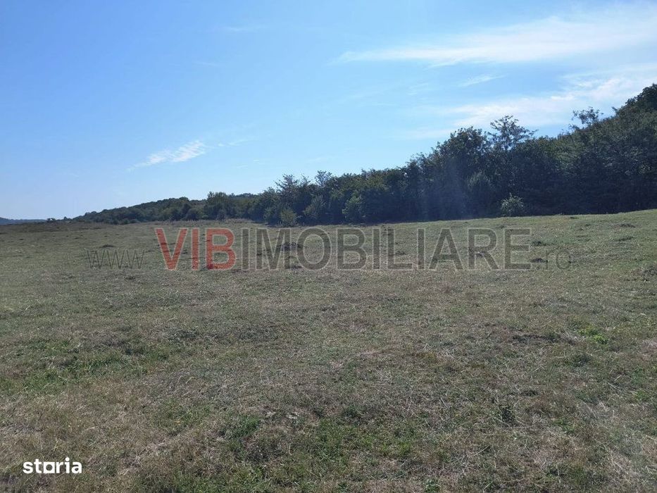 Baicoi/ Saramura/Teren investitie 7500 mp/ d_68