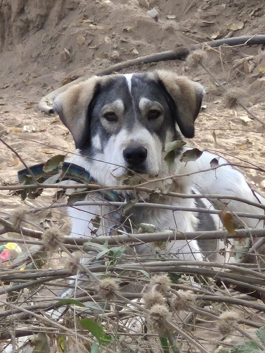 ОтлиЧныЙ КоМпанЬеН