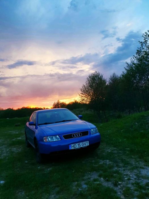 Vand / schimb cu cai