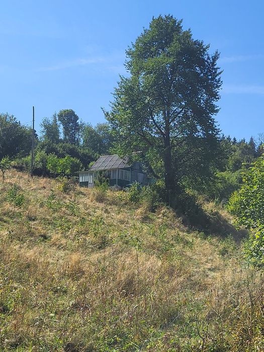 Vand teren  cu cabana in Șuncuius