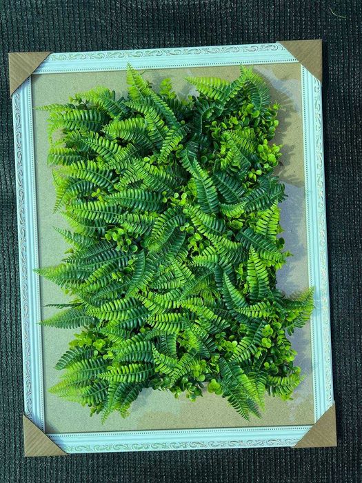 Фитостена в Ташкенте - Коврик на стену