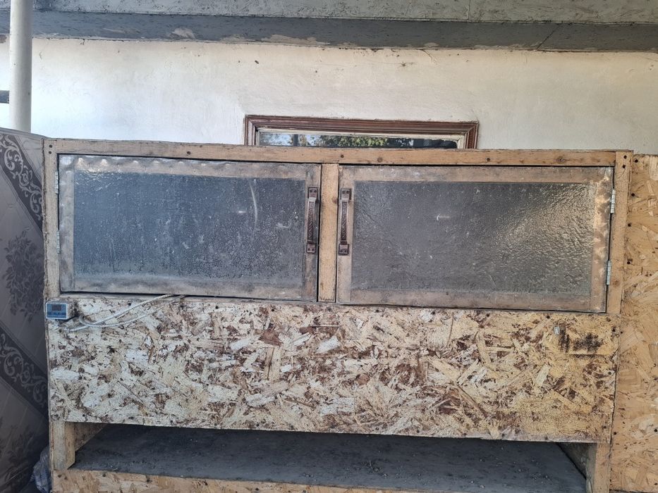 Брудер для цыплят