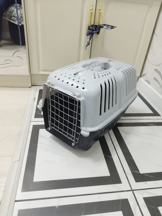 Карзинка для кошек, Mushuklar Karzinasi