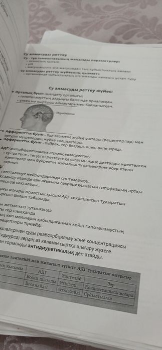 Био/Хим/Қазтарих Файлдар