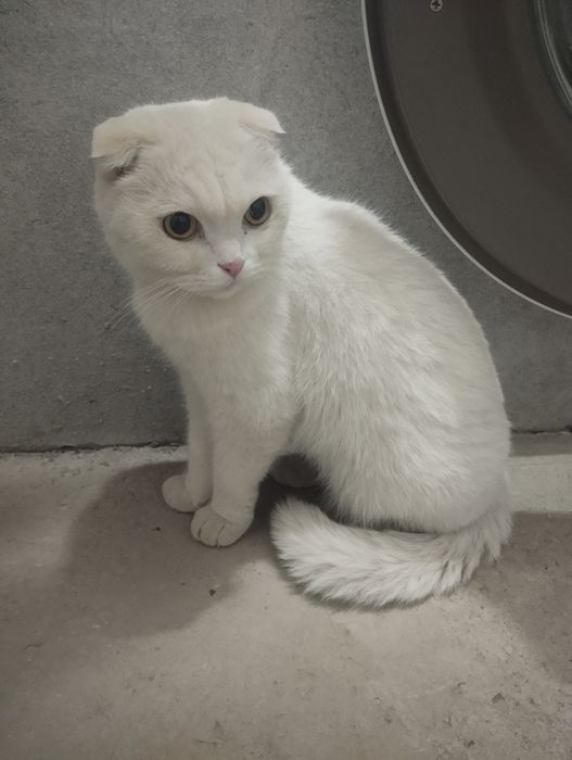 Ikki askar kazarmada jinsiy aloqada