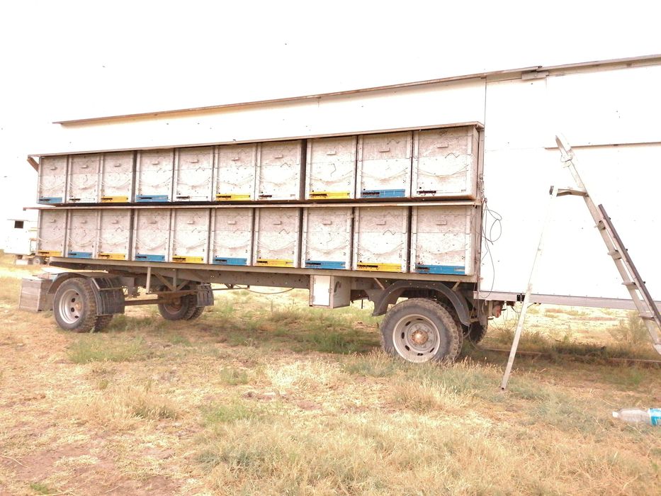 Продам пасеку два вагона