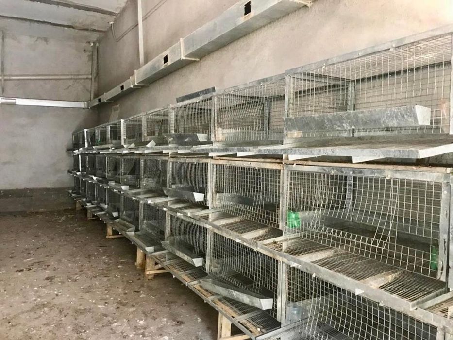 Клетка для несушек