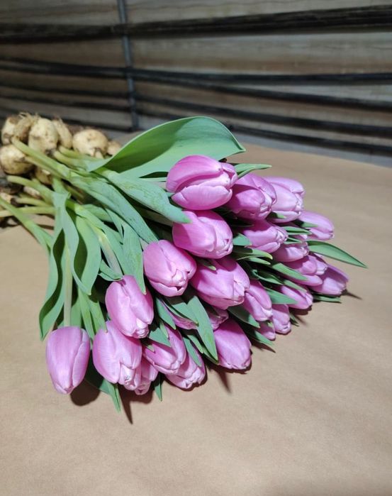 Голландские Тюльпаны!